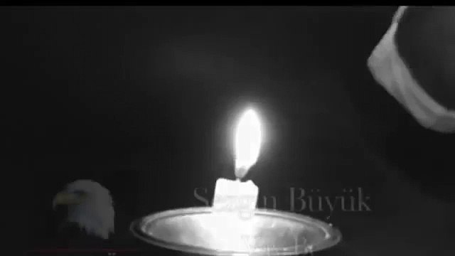 Sezgin Büyük Vay Be