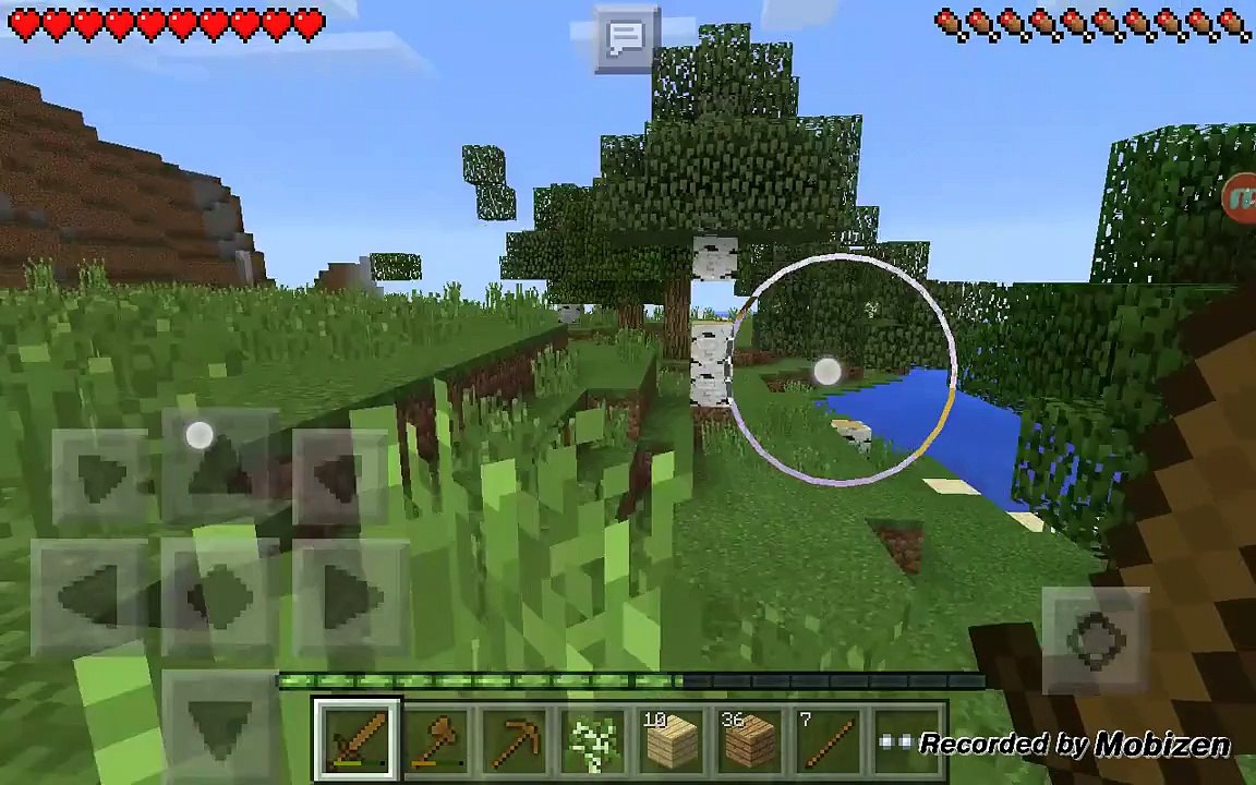 CoolGuyGamer is a cat! Episode 1 of survival
