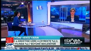 SELİN SAYEK BÖKE CNBC-E TV 30/03/2015