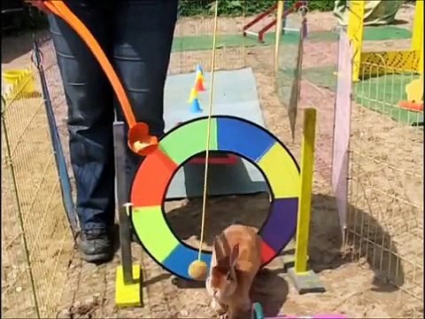 Konijn Hop Training van James Bond 007