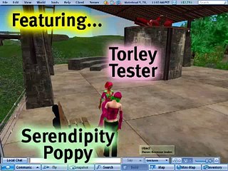 BASICS: Chatting - Second Life Video TuTORial
