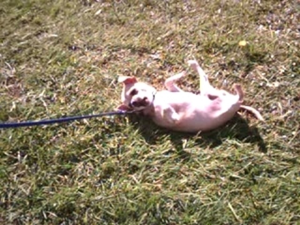 Bellagio se roule...