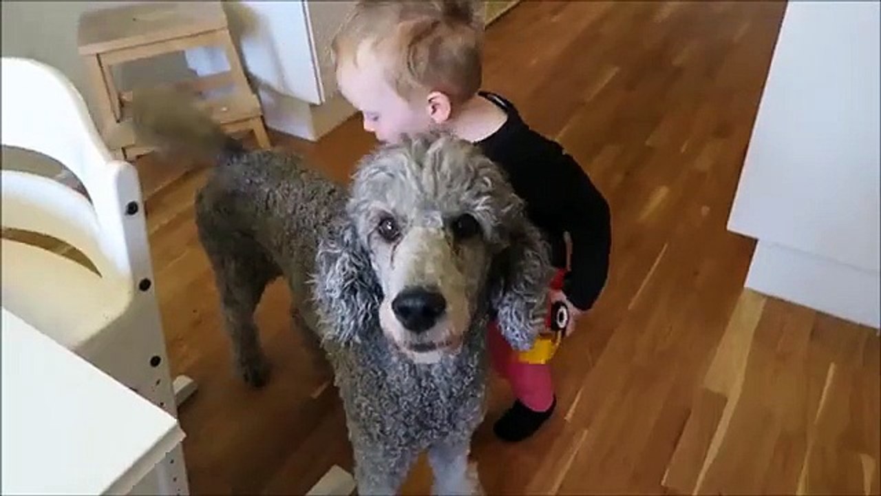 SHOULD WE STOP SPEAKING ENGLISH??? (day 765)