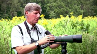 Digiscoping with Swarovski ATM/STM or ATS/STS Spotting Scopes