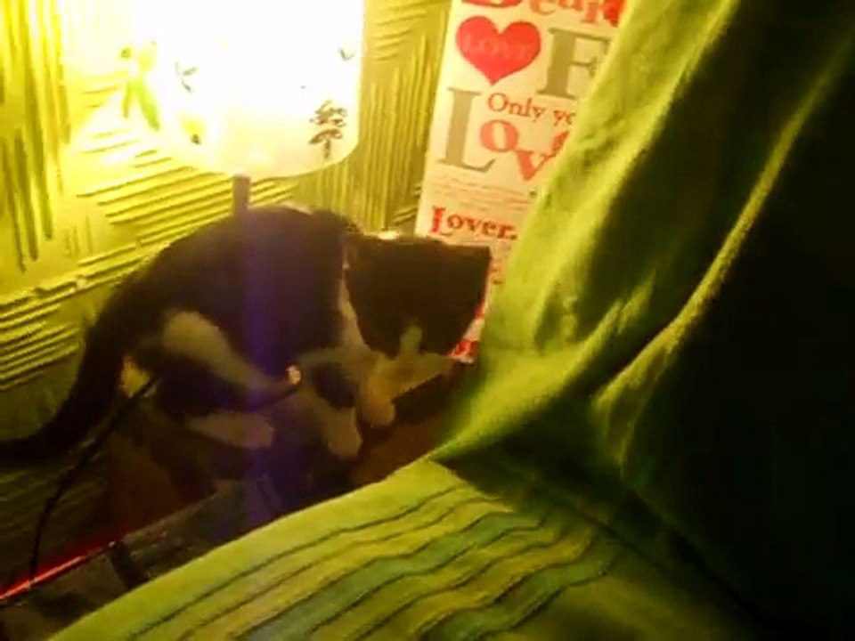 Jaaaako blesavo mace. :) Zeli li neko Coleta? :)