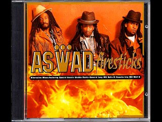 Aswad - Help me crossover