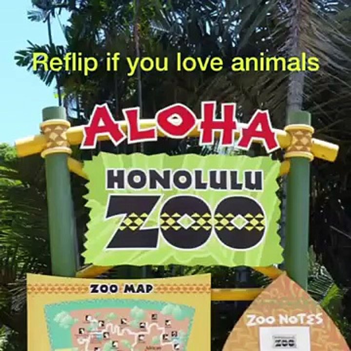 Flipagram - Reflip if you love animals