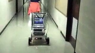 BOSS robotic shopping cart