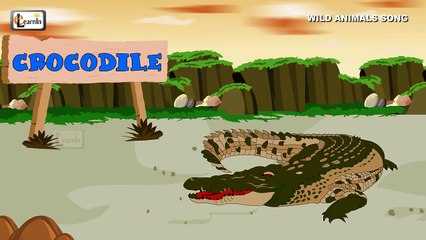 Wild Animals Song   Zoo animals for children