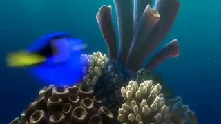 Best moments of Dory - Finding Nemo