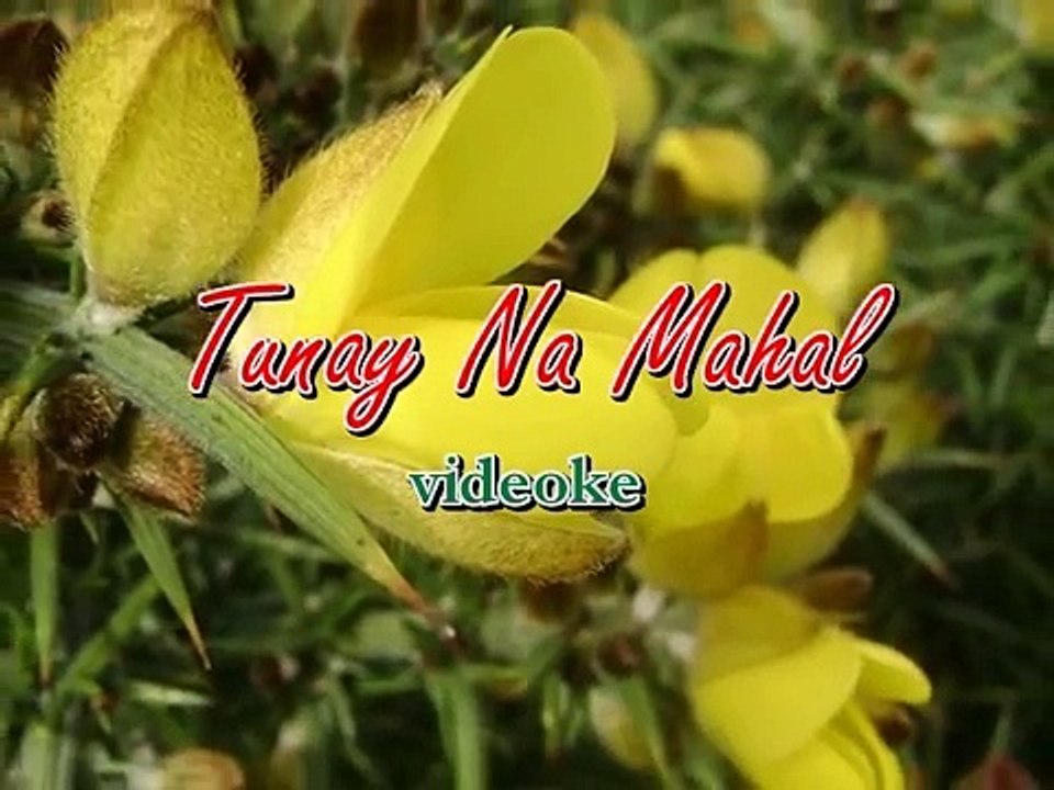 "TUNAY NA MAHAL" Video Karaoke @ in the style of Lani Misalucha