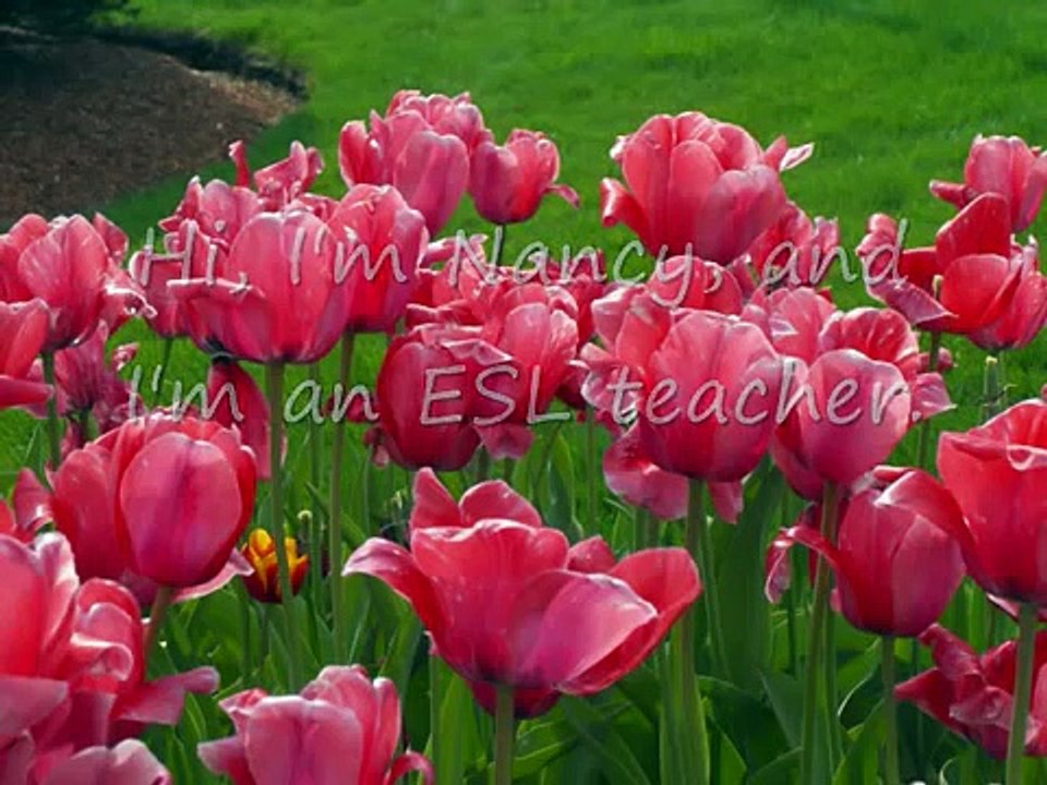 ESL for Beginners Telephone Conversation Fill in the Blanks