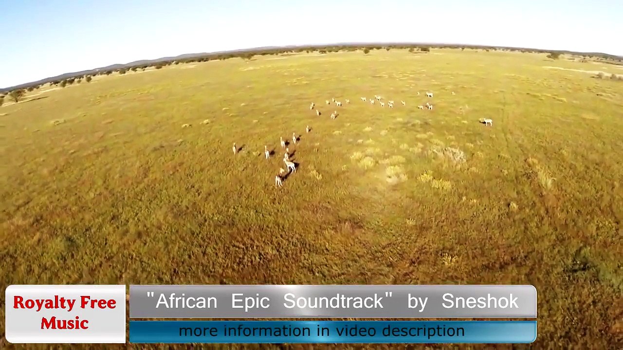 African music - African Epic Soundtrack (ROYALTY FREE MUSIC TRACK)