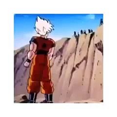 Dragonball: goku and cena fusion