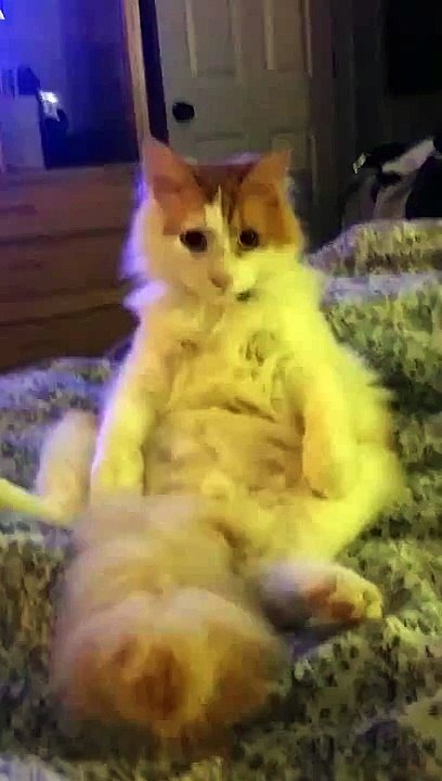 Harry Potters Posture From Harry Potter's Corner!