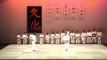 APJ Técnicas de Karate Estilo Shorin Ryu