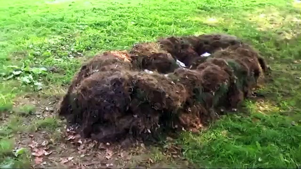 Origin Oorsprong