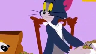 Tom and Jerry Cartoon Episode 13