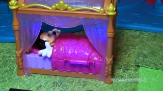 MICKEY MOUSE CLUBHOUSE Disney Junior Mickey the Marshmallow Chocolate Smore Adventure + Pluto