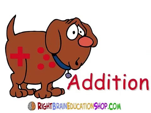 Addition Flash Cards Using Glenn Doman, Shichida Method & Heguru!