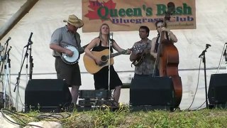Bluegrass Band: Moonshiner's Daughter