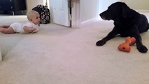 Baby's first crawl with her dog... what a cute ending!