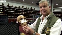 New human like species discovered in S Africa