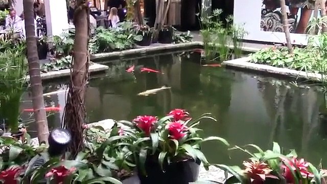 Russian Guy Shows How to Pick up HOT Girls in a VIP Shop! Picking Up Women Public Pranks