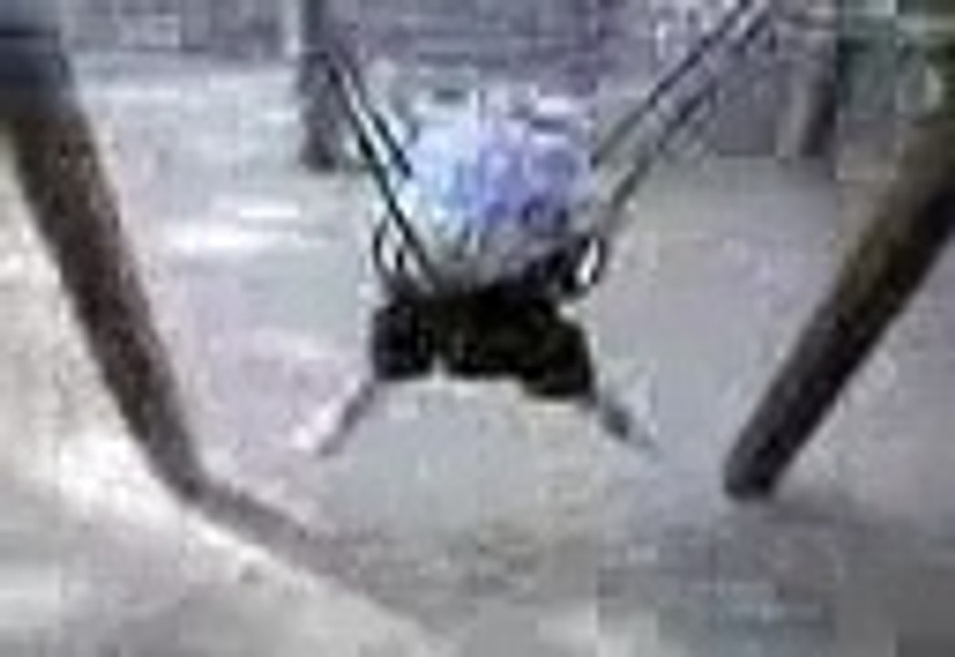 marouan el yahyaoui cano