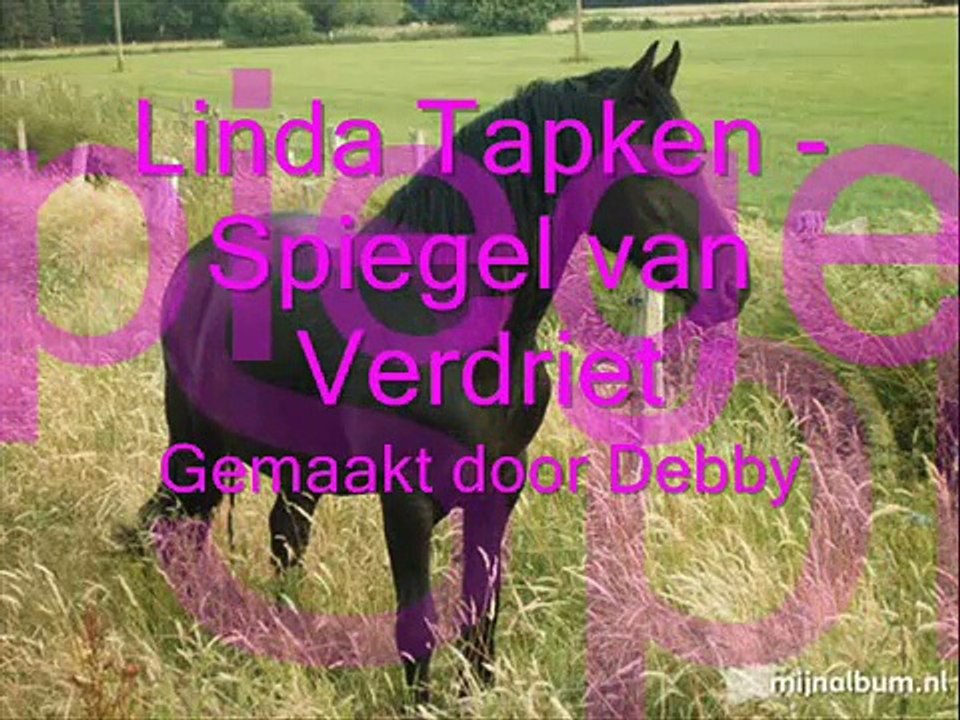 Linda Tapken - Spiegel van Verdriet