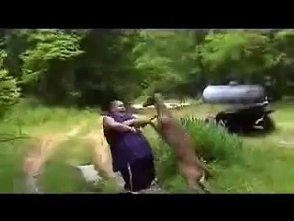 شوف وانسى همومك 584