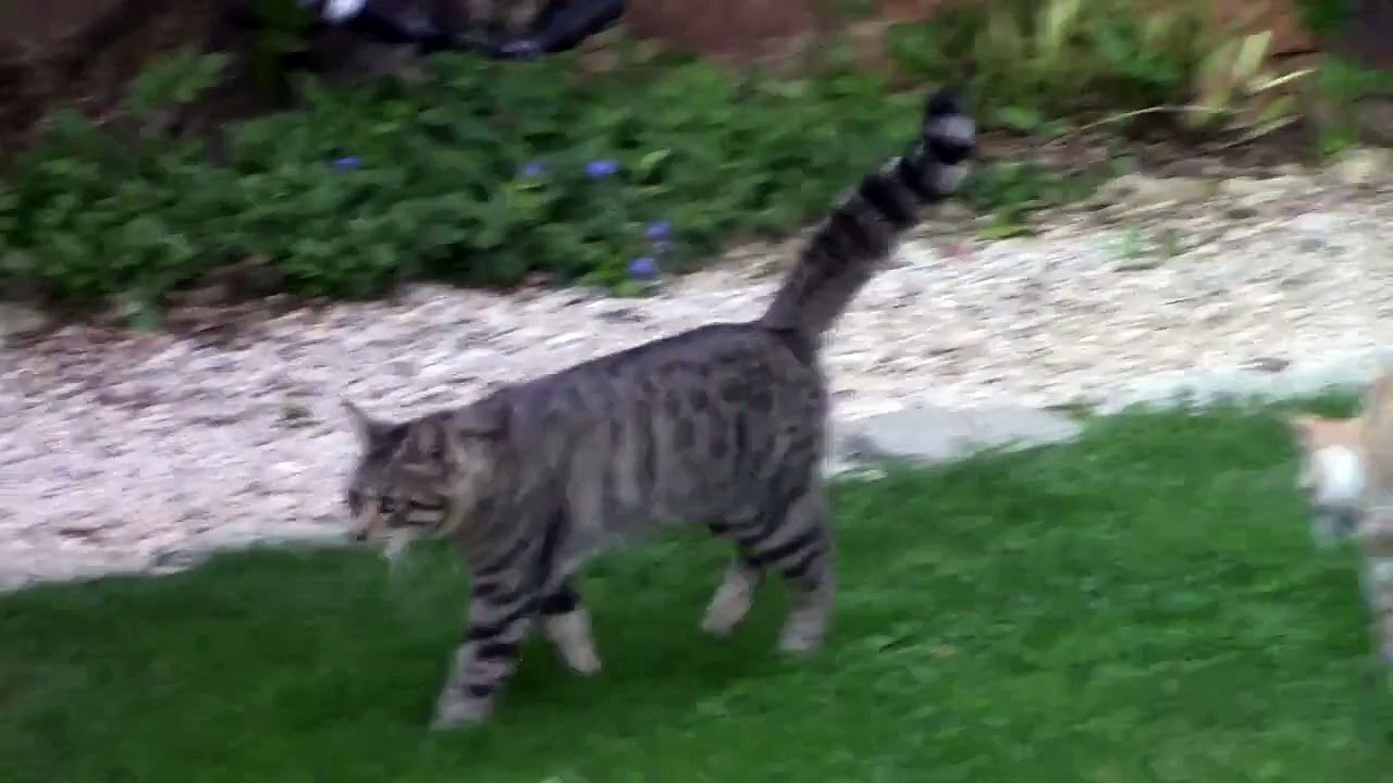 From France to England