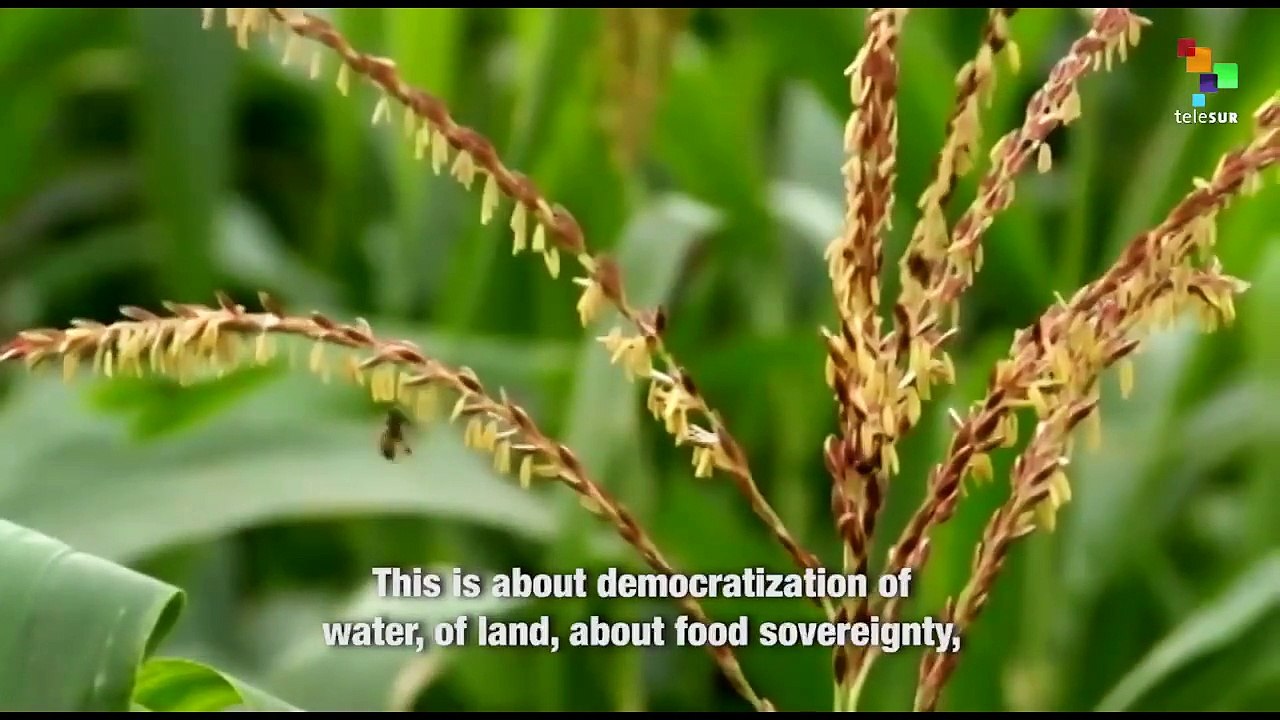 Interviews from Quito – The Ecuadorean Indigenous Federation