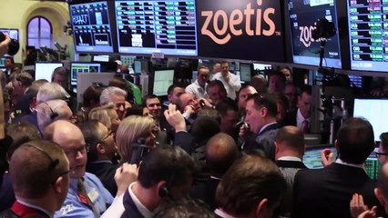 Zoetis Celebrates IPO rings the NYSE Opening Bell Special Edit