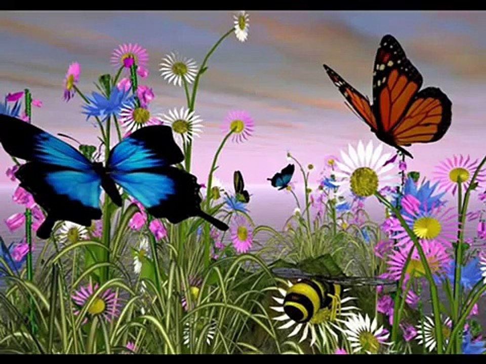 Andre Popp - Las Mariposas [Instrumental].wmv
