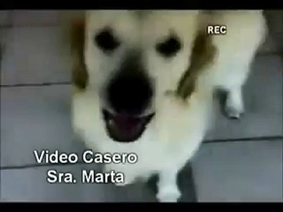 NANCY PARATE Y SE DIGNA no te pongas en 4