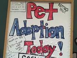 Social Tees: Animal Rescue, East Village, New York City