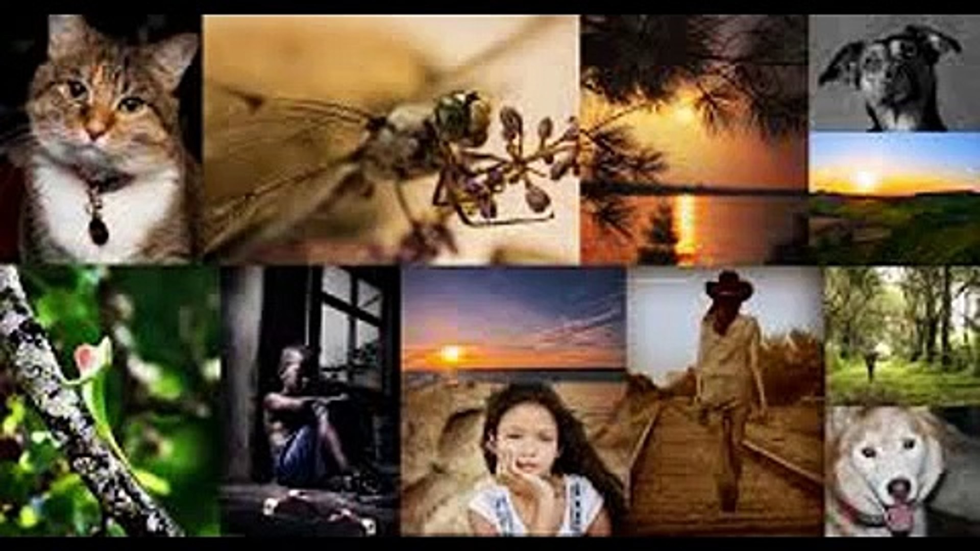 Free Photography Tutorials
