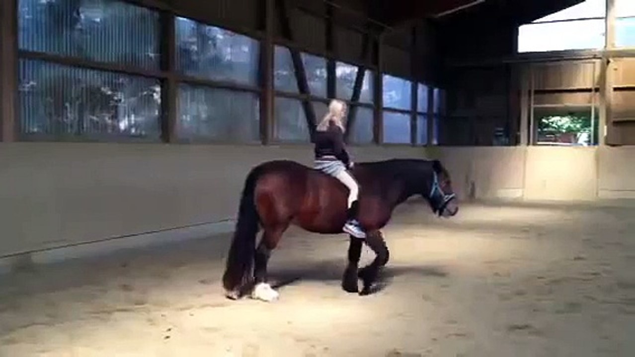 Gefahrlos Reiten lernen mit Chi Horsing Selina 10 J.
