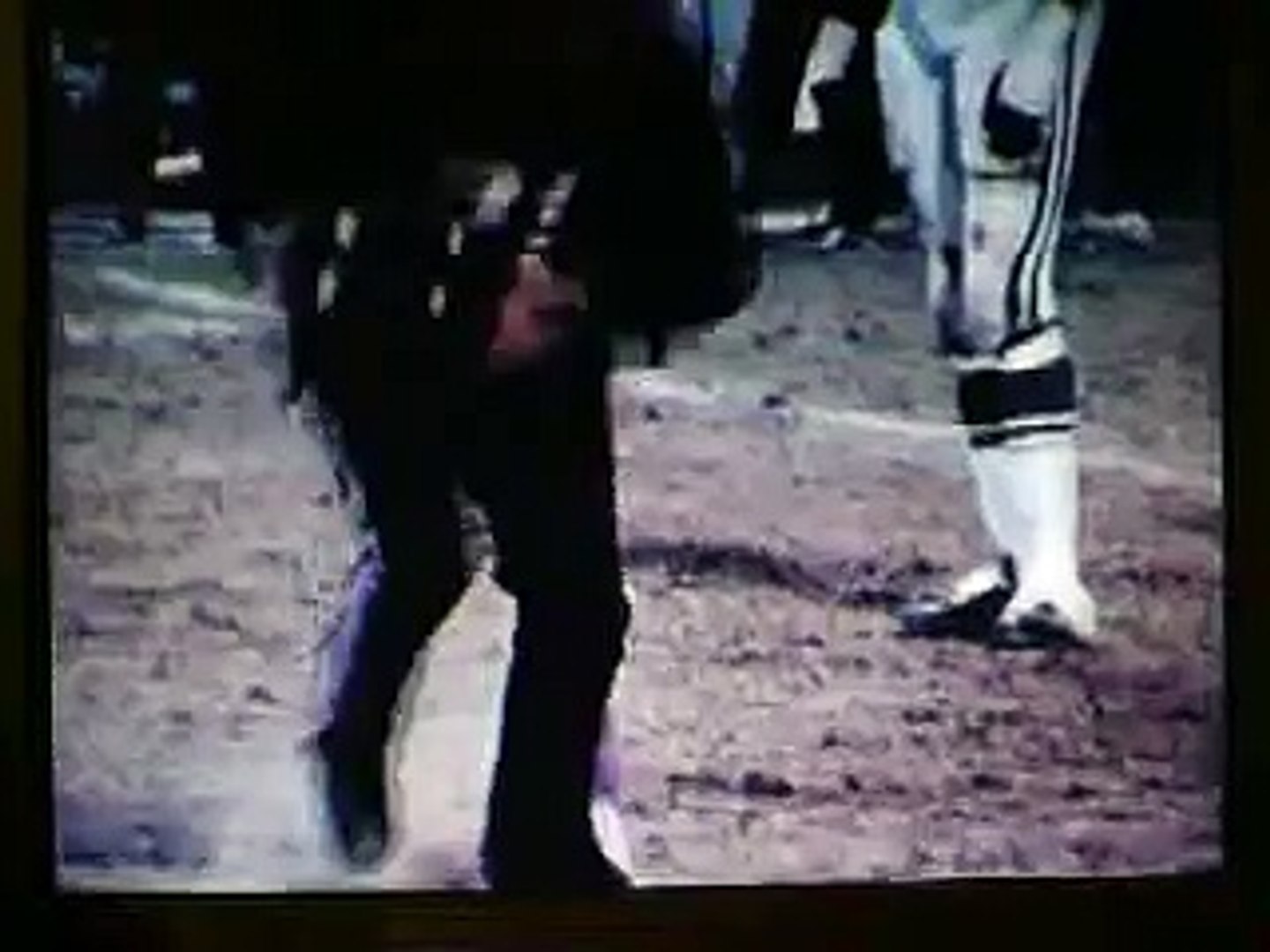 Baltimore colts mike curtis and the fan - video Dailymotion
