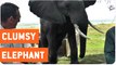 Zimbabwe Bull Elephant Crashes into Tourists at Mana Pools