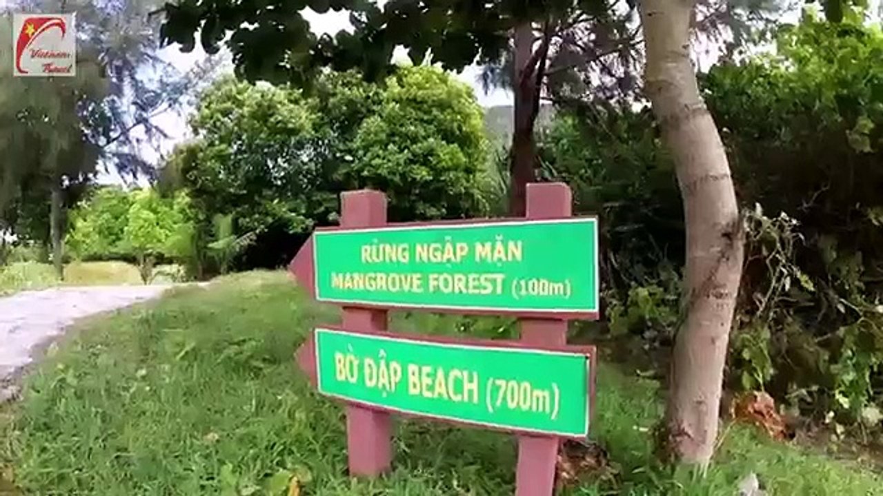 Con Dao Travel Guide - Con Dao Tourism - Vietnam Travel