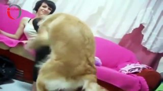 Funny Videos - Funny Fails 2015 - Funny Pranks - Best Funny Videos 2015
