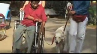 Animal Angels Foundation: Rohini Fernandes & Radhika Nair