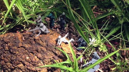 Army Men Imperialistic Plastic: Ambush |The General