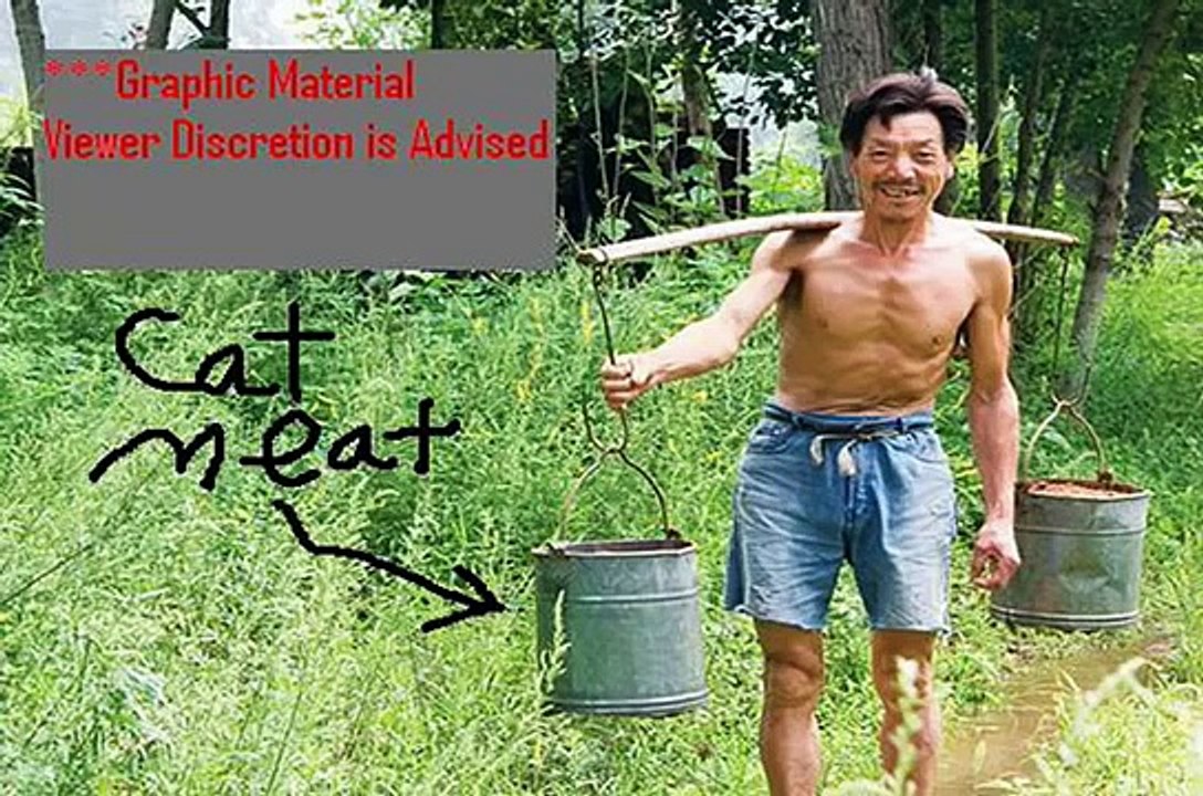 Crazy Chinese Cat & Kitten Eating!! Animal Cruelty Asian Meat Market