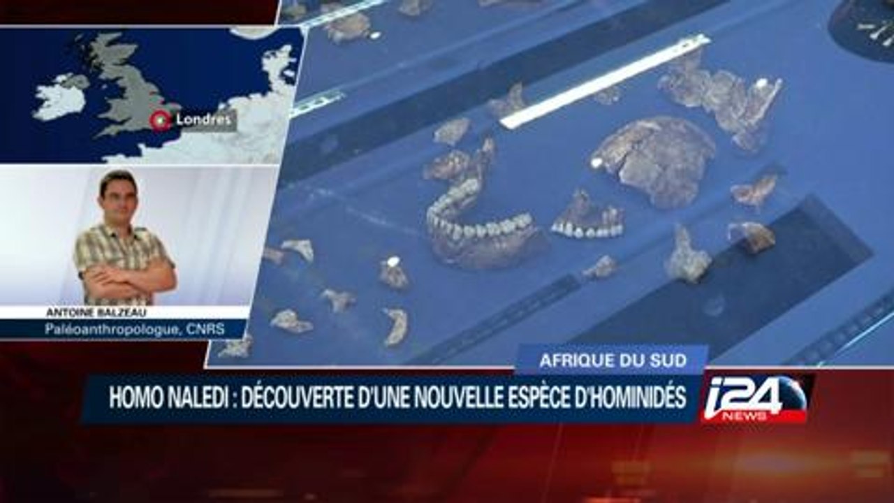 Afrique du Sud : découverte d'ossements préhistoriques