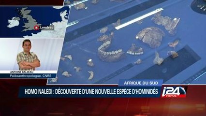 Afrique du Sud : découverte d'ossements préhistoriques