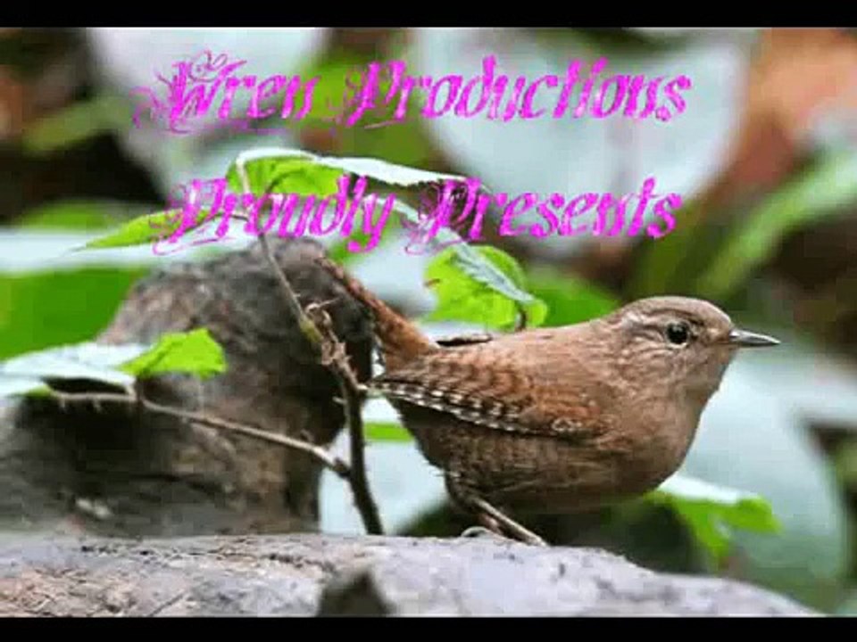 Poppy: A New Page Epilogue