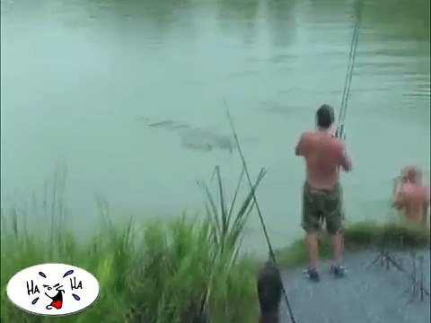 Вот это улов - рыбаки, обзавидуйтесь!